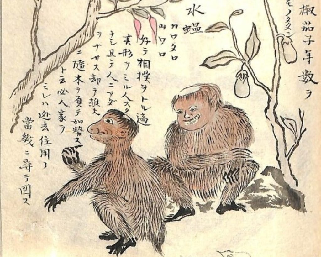 ケンムン (けんむん・けんもん)