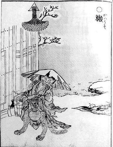 川獺 (かわうそ)
