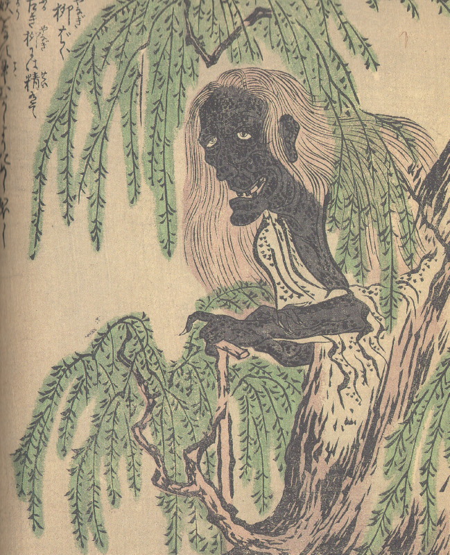 柳婆（やなぎばば）