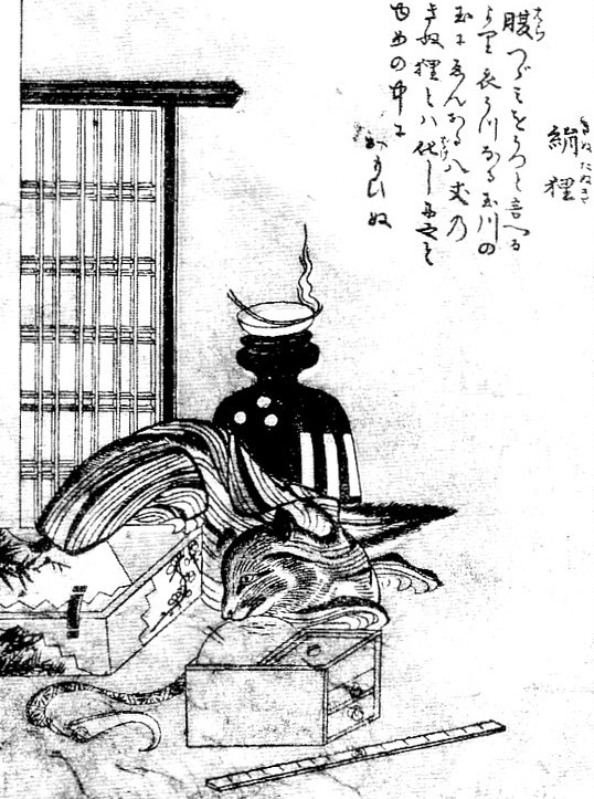 絹狸 (きぬだぬき)