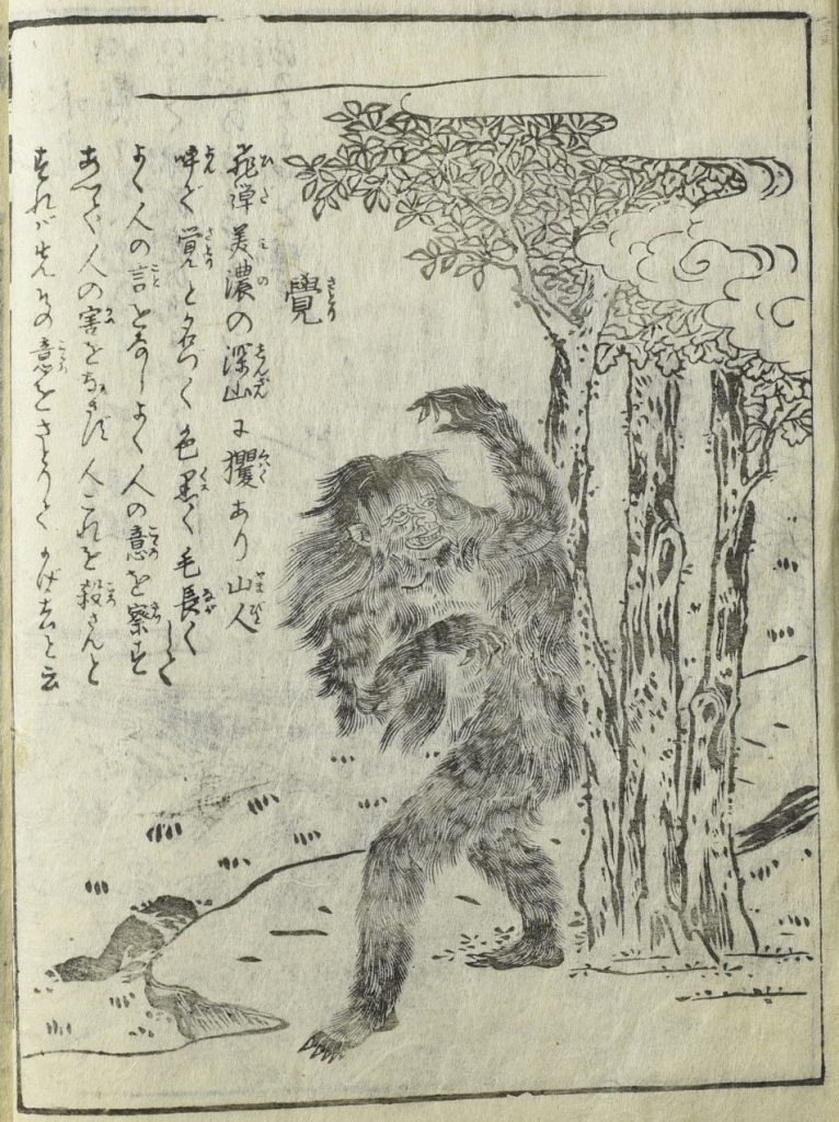 さとり（岐阜県）