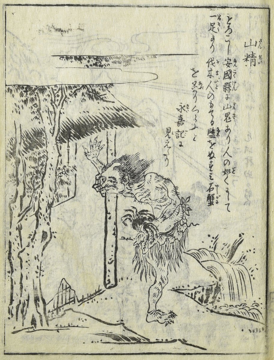 山精 (さんせい)