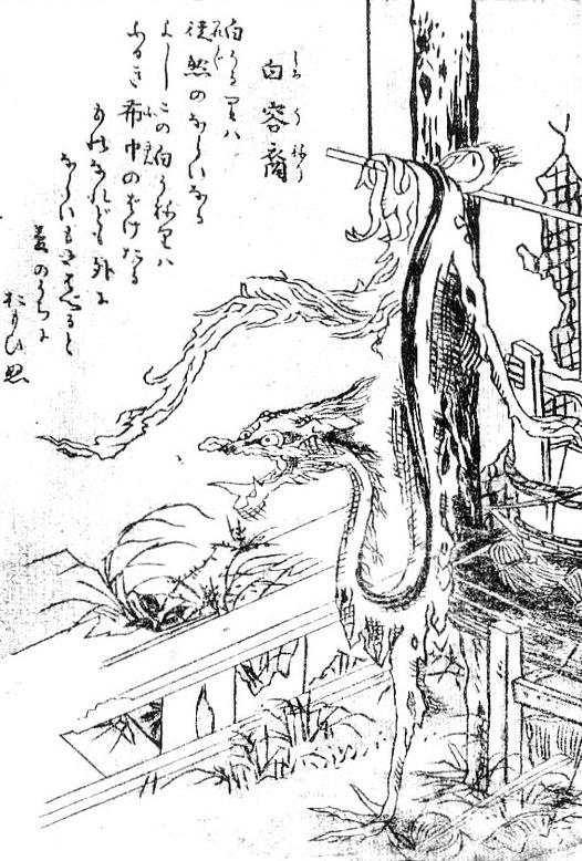 白容裔 (しろうねり)