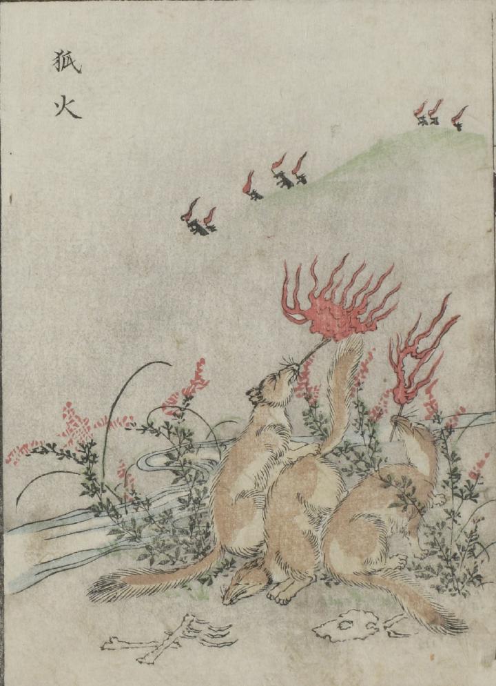 狐火 (きつねび)