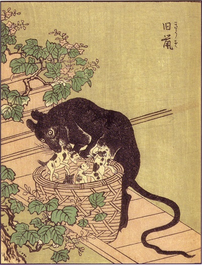 旧鼠 (きゅうそ)