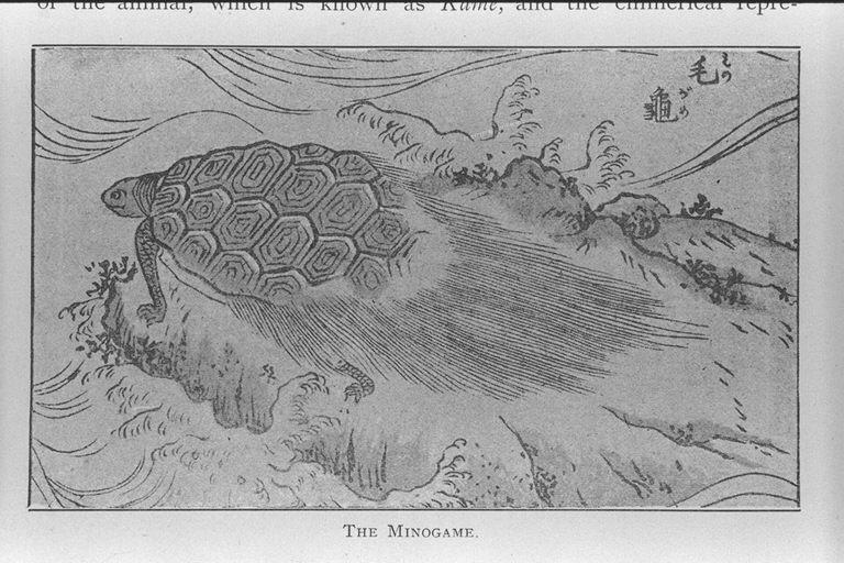 蓑亀（みのがめ）