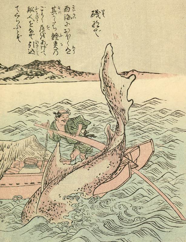 磯撫で (いそなで)