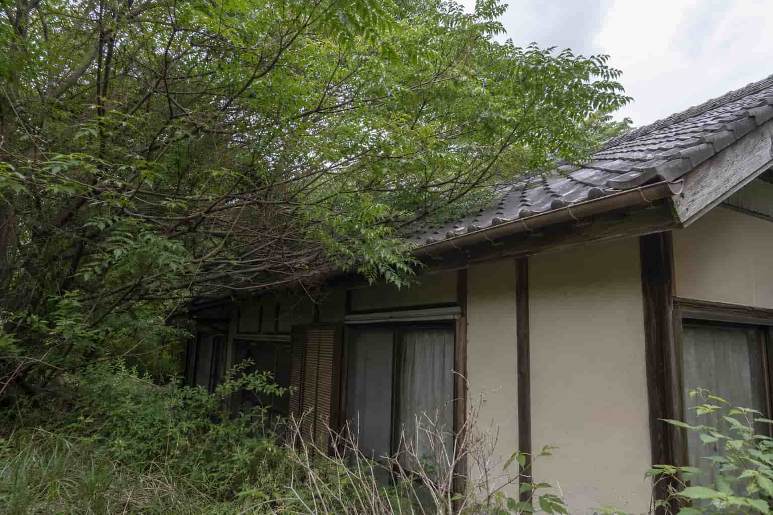 空き家の庭木伐採を専門業者に依頼する様子の画像