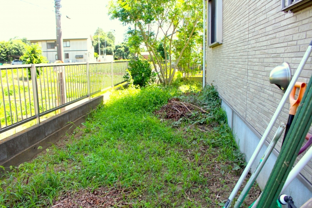 空き家の草刈り費用の見積もりを比較する様子の画像