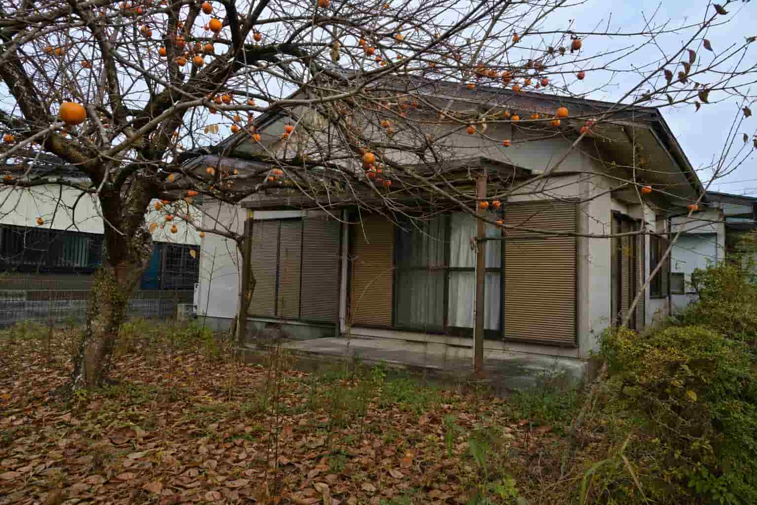 空き家の庭木伐採費用を高さ別に示すイメージの画像