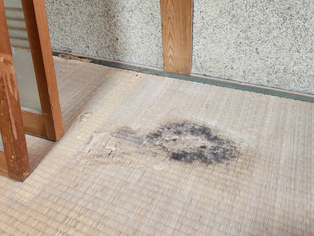 シロアリ被害で傷んだ空き家の床下を点検する様子の画像