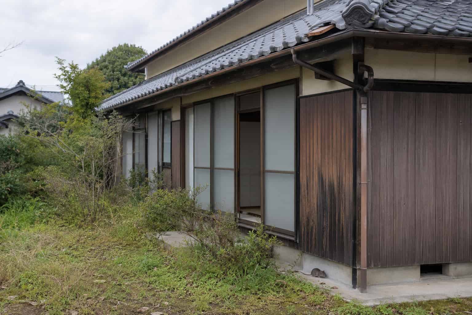 劣化した空き家に害獣が侵入する様子の画像