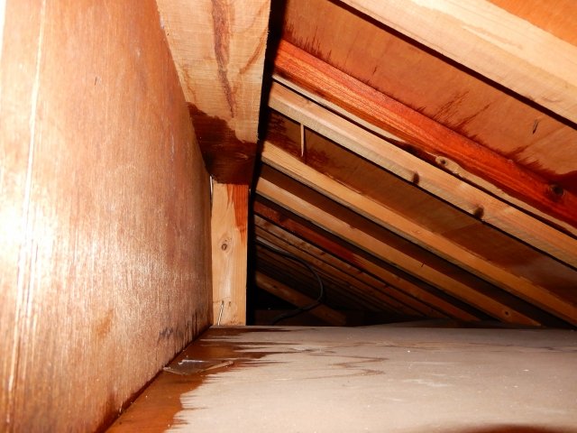 空き家が雨漏りしやすい4つの原因 に関連する画像