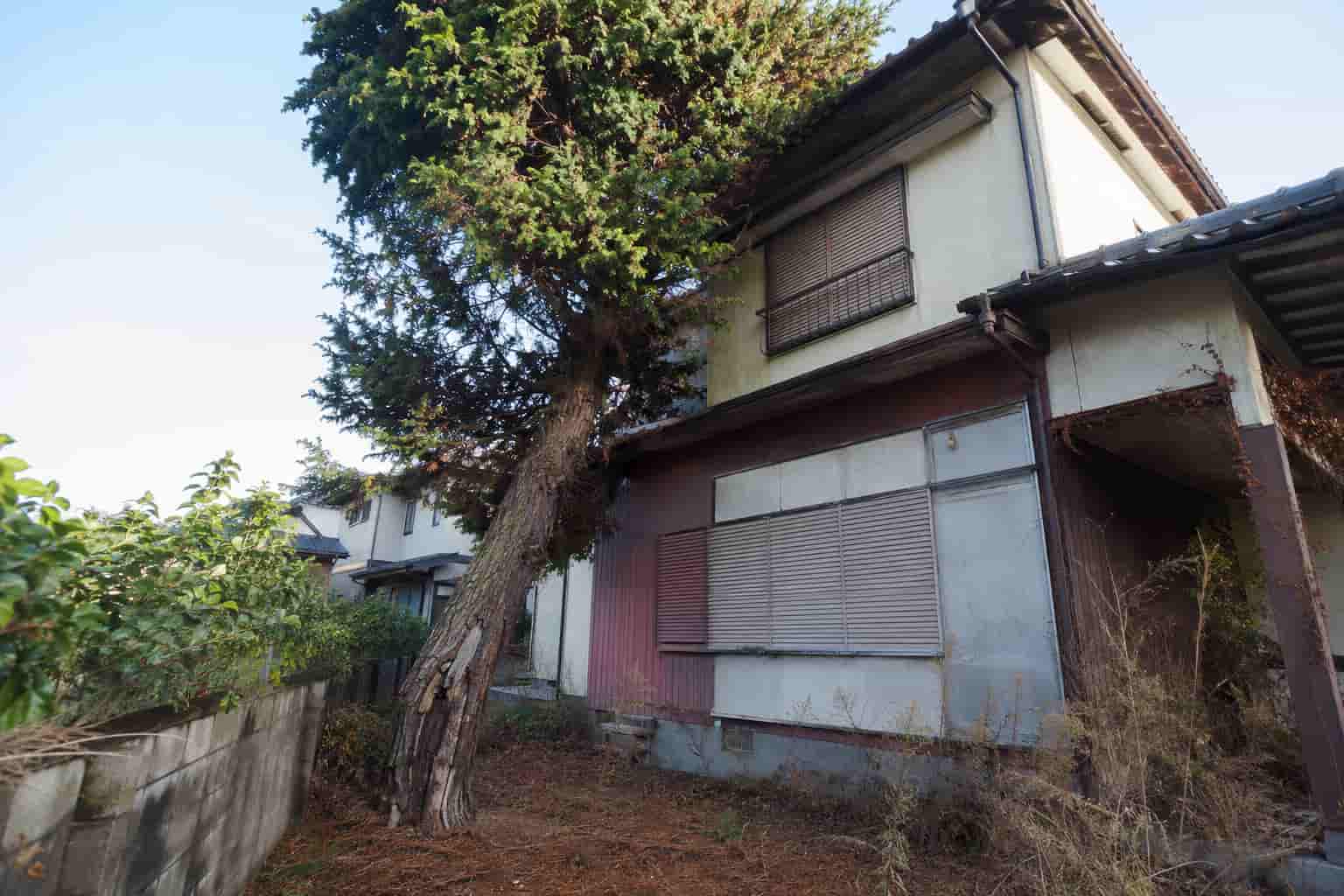 荒れた庭木の管理に悩む空き家所有者の画像