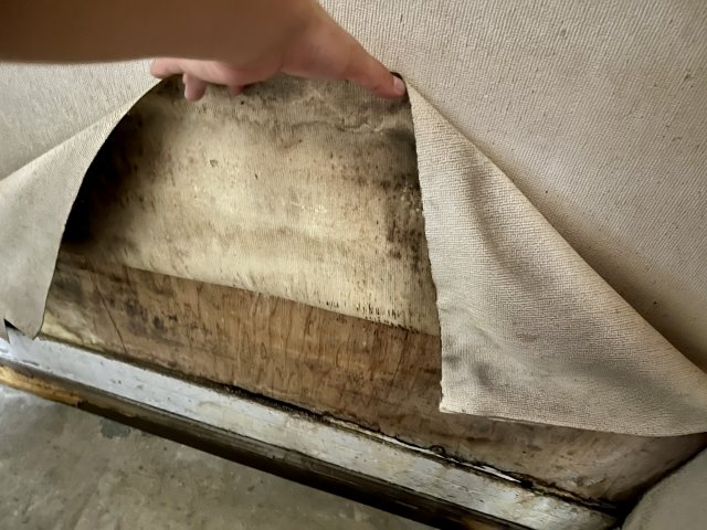 空き家のカビ臭さを放置するとどうなる？3つのリスク に関連する画像
