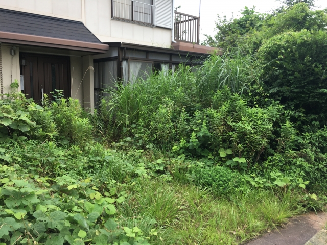 空き家の草刈り依頼先を比較検討している様子の画像