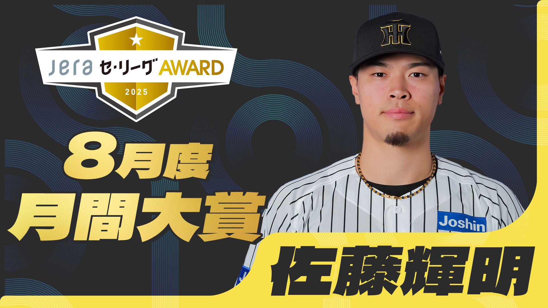 dena 対 阪神 チケット