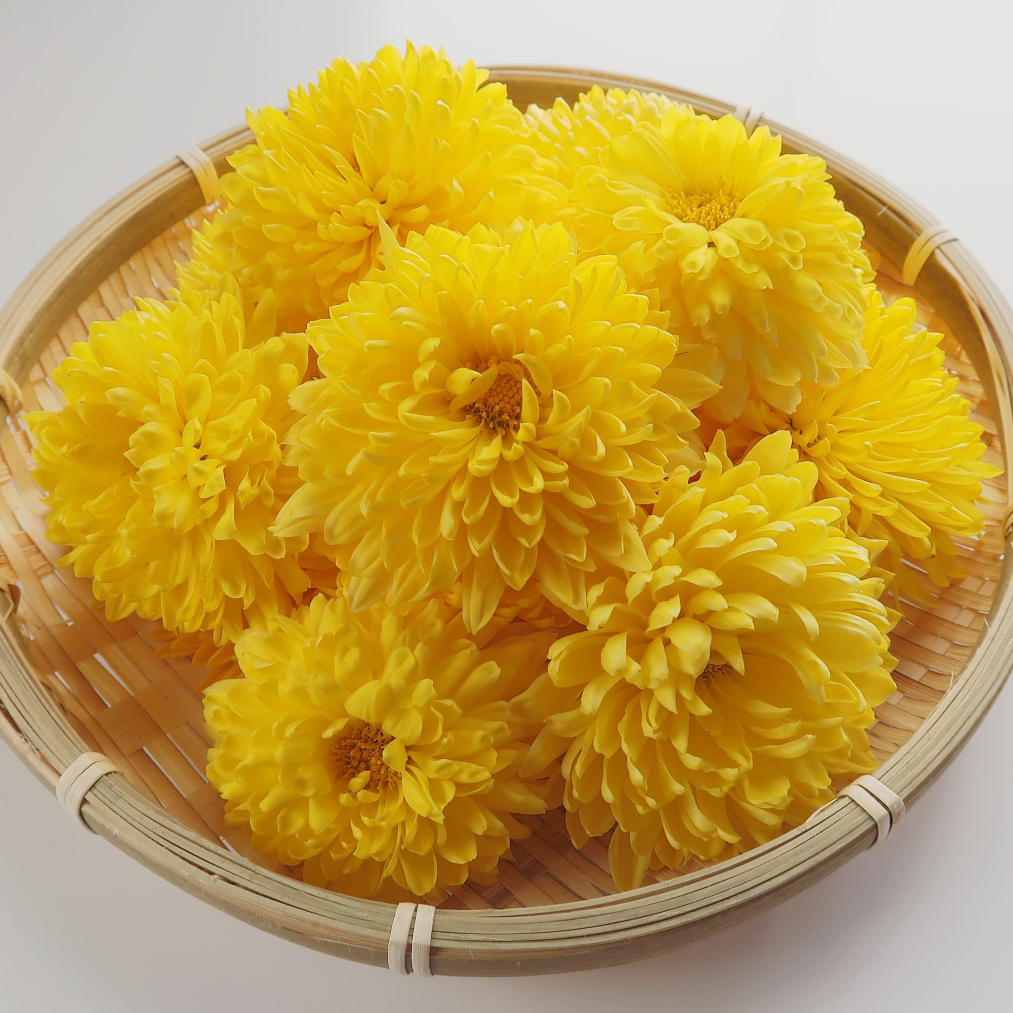 取得に失敗しました