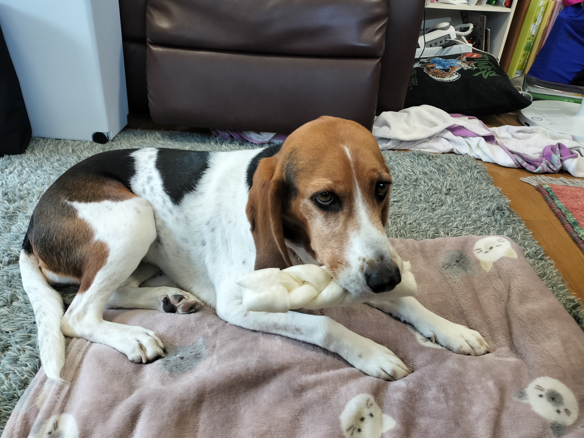 取得に失敗しました