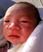 取得に失敗しました