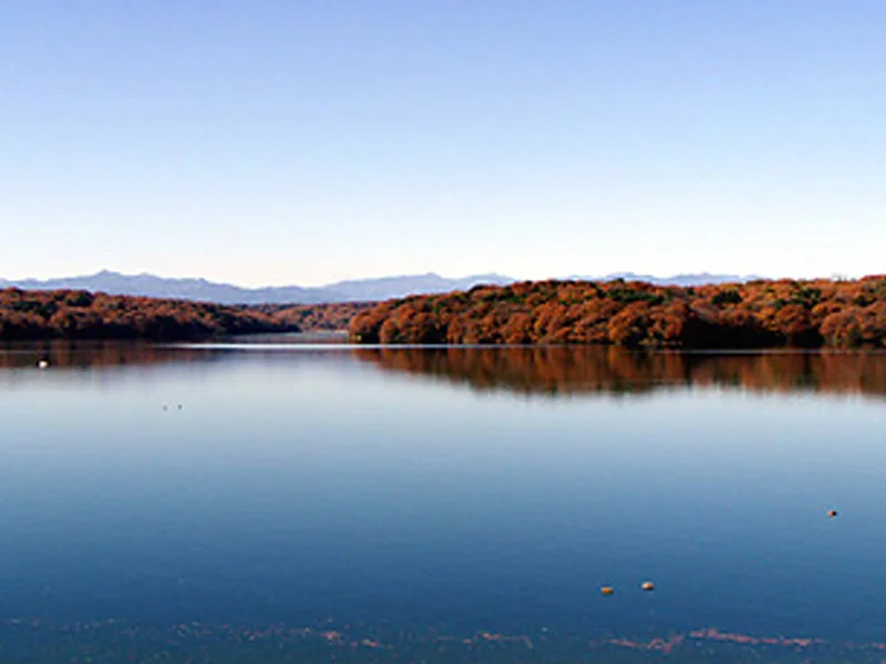 Source: chocotabi-saitama