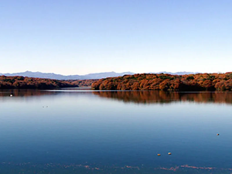 출처: chocotabi-saitama