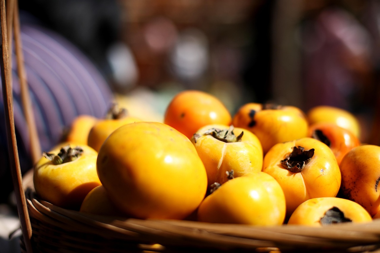 Image by Paul Garic Ho from Pixabay