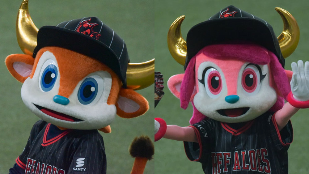 How to Enjoy the Orix Buffaloes' Home Stadium - Kyocera Dome Osaka