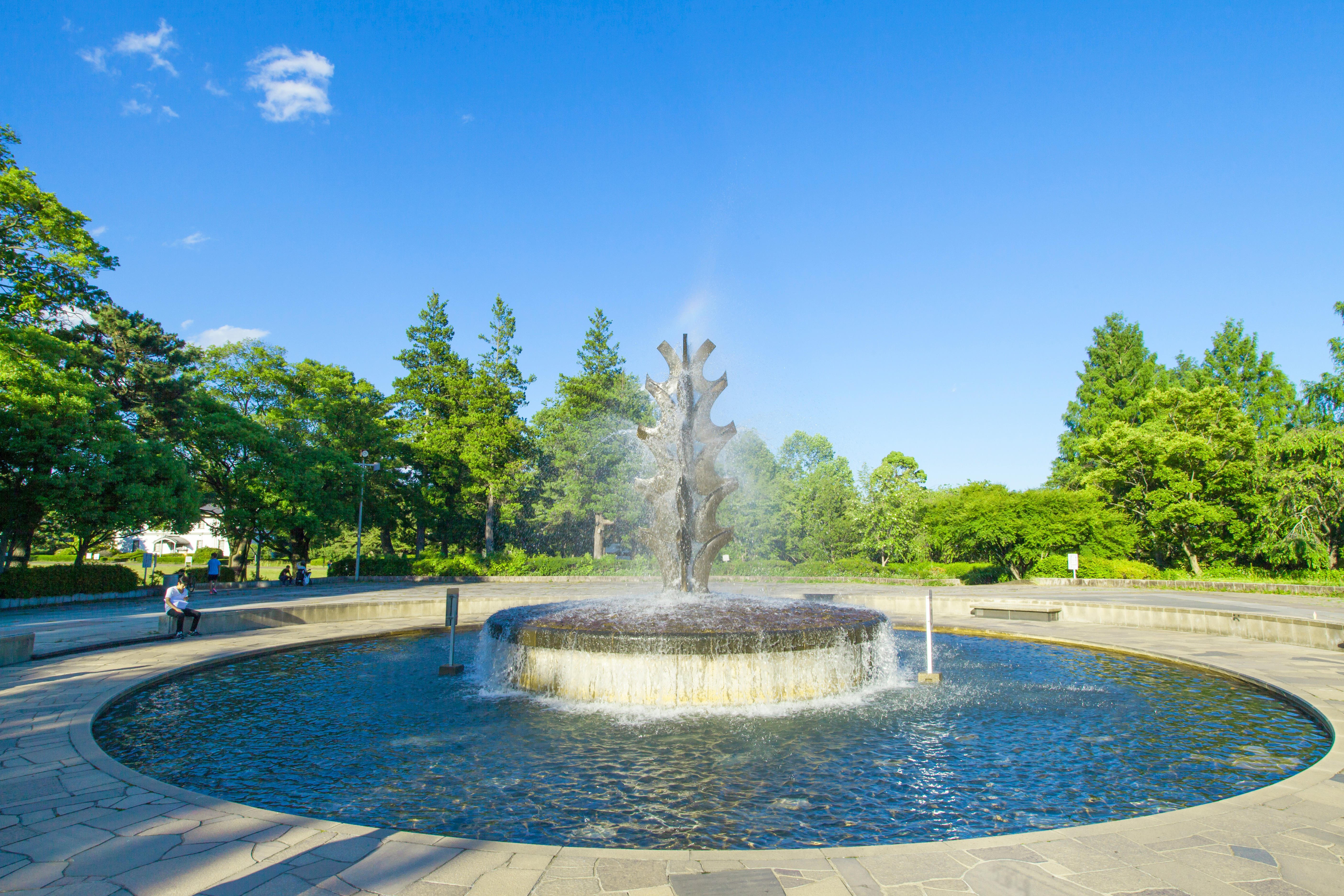 Photo provided: Miyagi Prefecture Tourism Strategy Division