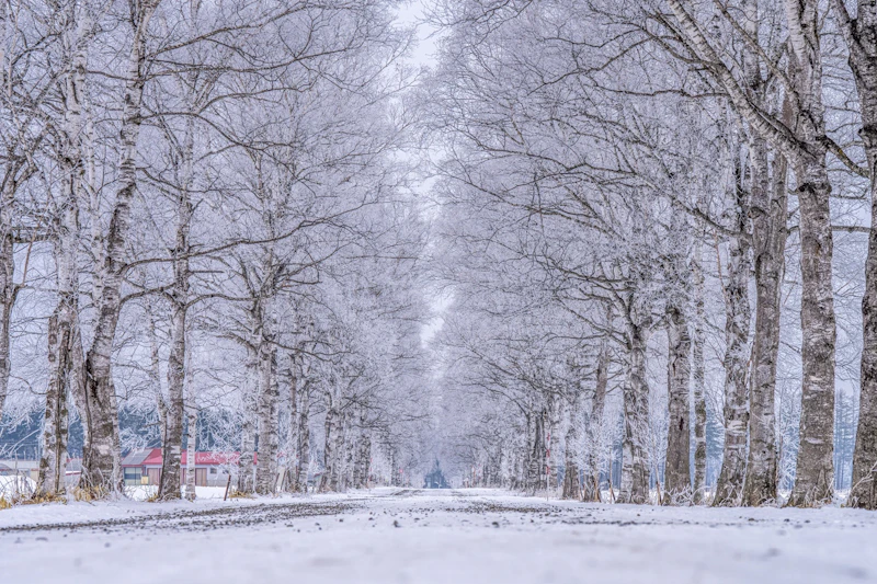 Hokkaido Tourism Organization