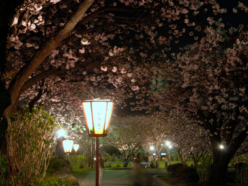 Source: Hokkaido Official Tourism Website