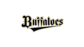 その他 Orix Buffaloes Amazon.com: ORIX Buffaloes Perfect Guide (2011) ISBN