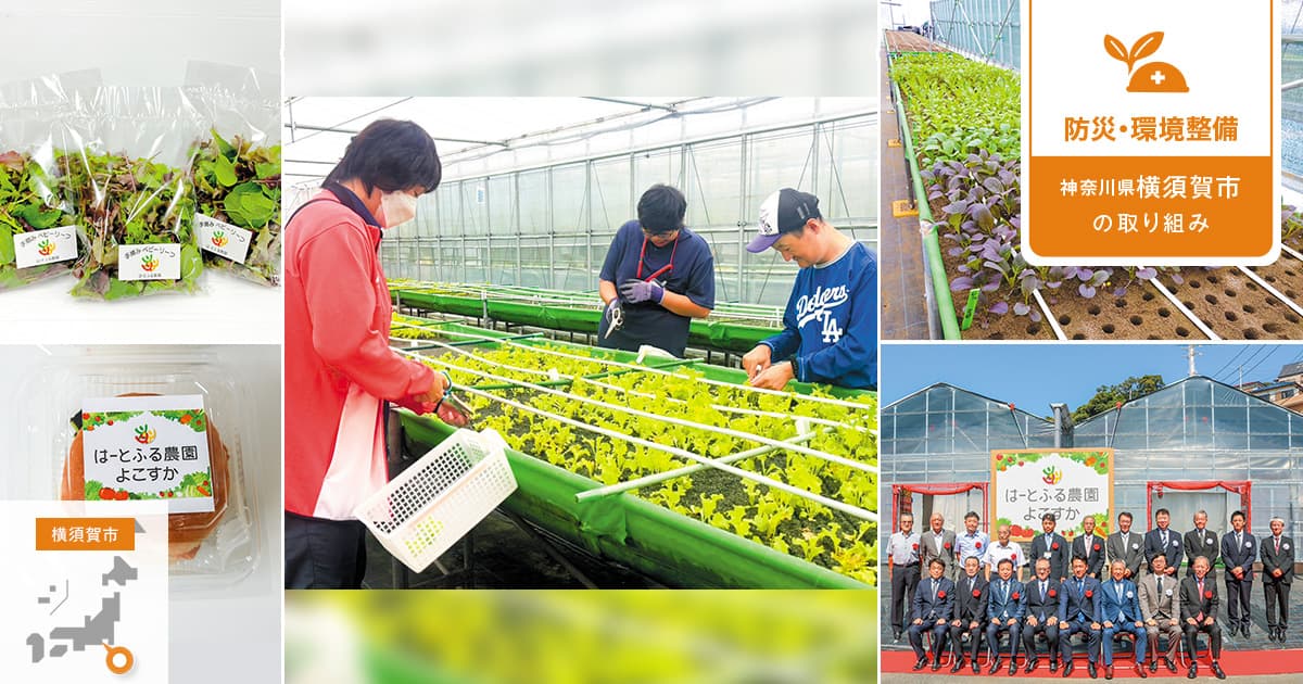 障がい者の自立を支える農園が、遊休地に新たな社会的価値を宿す