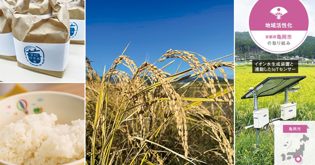 スマート農業による有機米の栽培で、「作業の省力化」と「収量向上」を実現