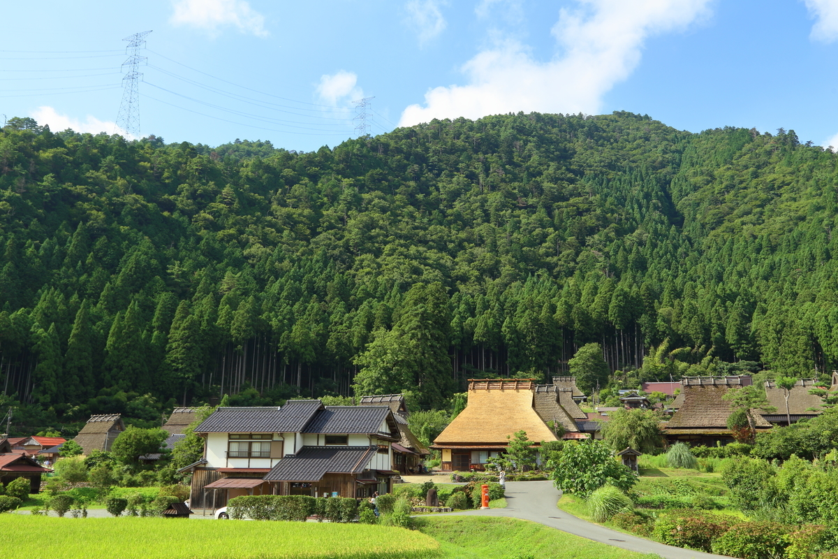 地方創生のリアルな現状！地域活性化事業の成功例・失敗例を紹介【自治体事例の教科書】