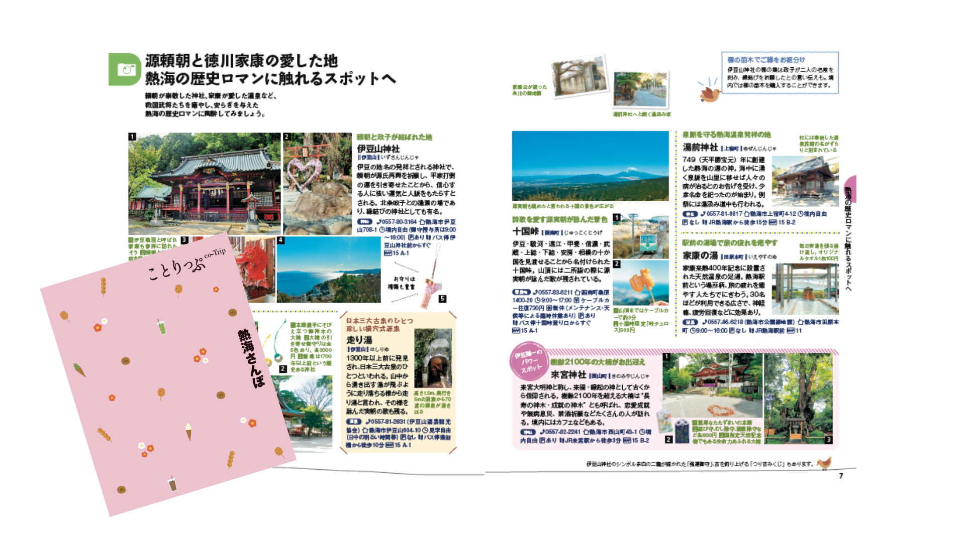 「日帰り」から「宿泊」へ。熱海市が首都圏の女性観光客を動かした「ことりっぷ」活用術【事例紹介】