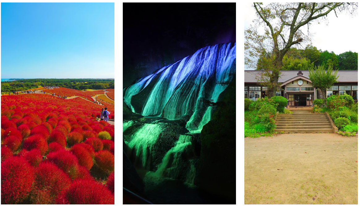 TikTok、茨城県と連携のもと、県の魅力発信キャンペーンを10月23日から実施。秋の紅葉や花絶景などの県内おすすめスポットを紹介！