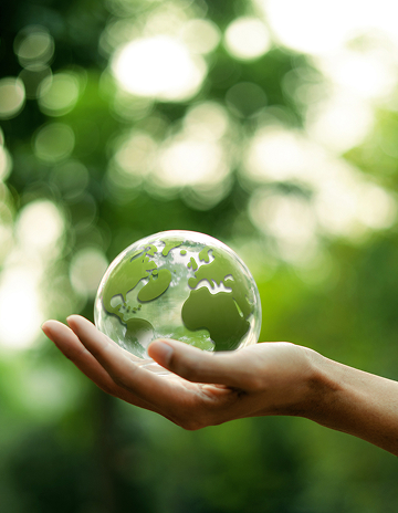 小見出しが入ります。小見出しが入ります。小見出しが入ります。小見出しが入ります。