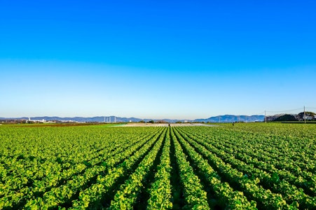 製品情報：農業資材・農産物