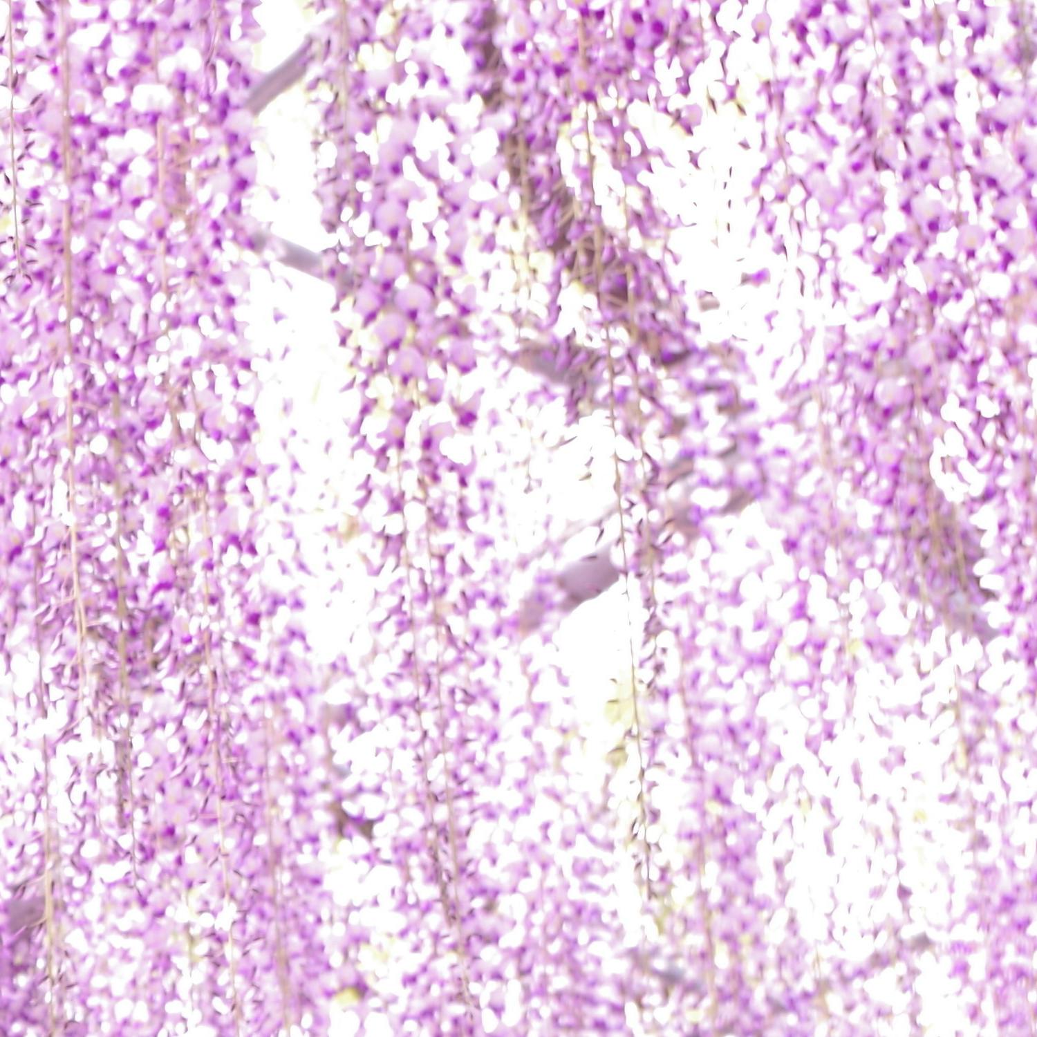 a_fuji（ライター）