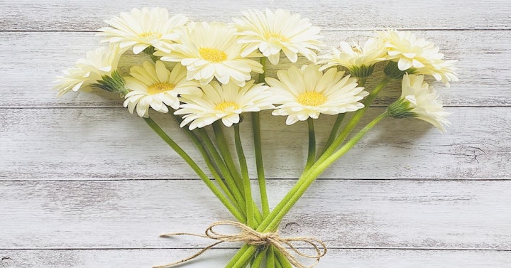 花言葉 自由 自分らしく 希望など 前向き になる花言葉まとめ Rolmy 花言葉 自由 自分らしく 希望など 前向き になる花言葉まとめ Rolmy