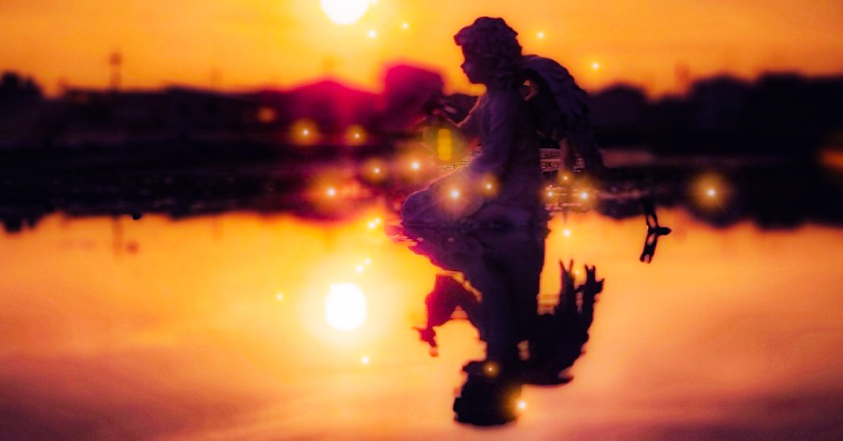 花言葉が 助けて の花は何の花 怖くて面白い花言葉の世界 Rolmy