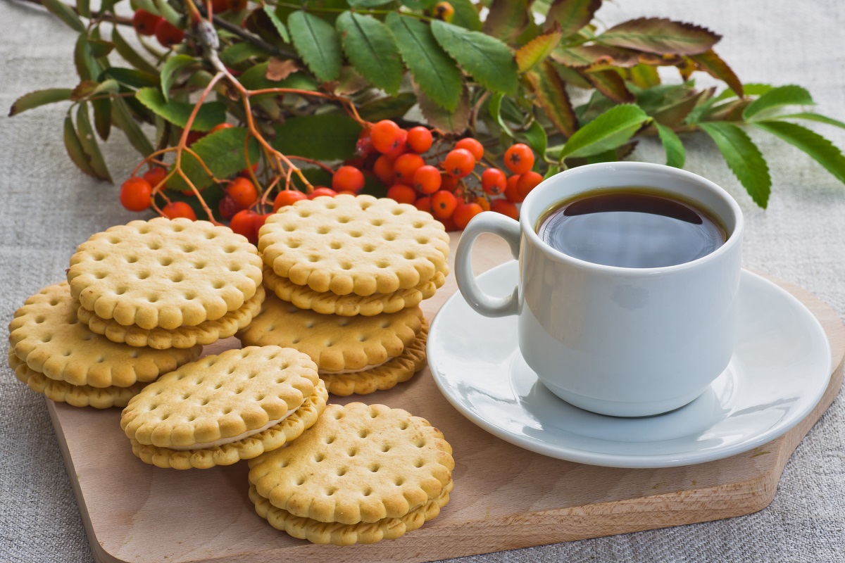 ビスケットとクッキーの違いは何 明日誰かに話したくなる雑談ネタ Rolmy