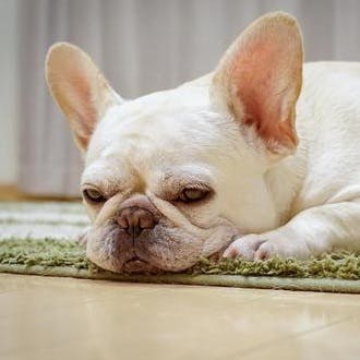 ゆうき（ライター）