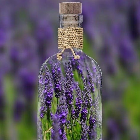 Yuri（ライター）