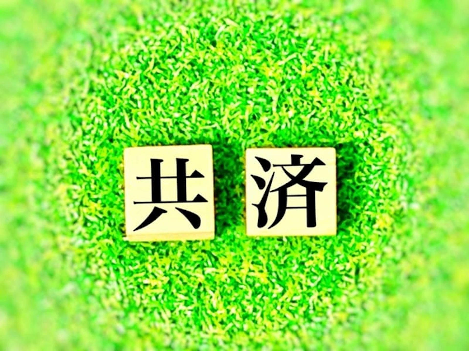 農業確定申告　農業共済の掛け金の支払・入金時の処理は？
