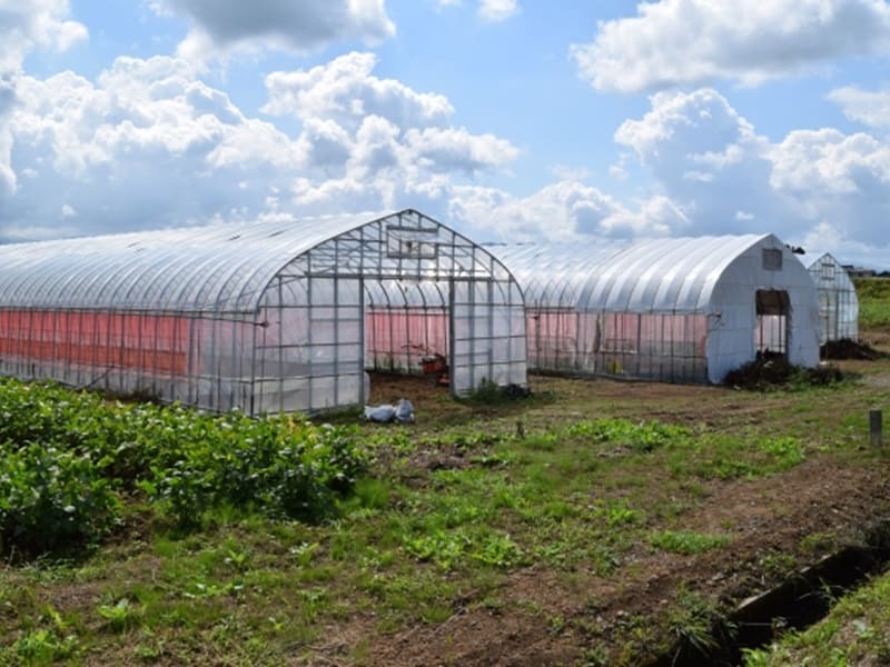 農業の確定申告　農業用機械・ビニールハウスの耐用年数は？