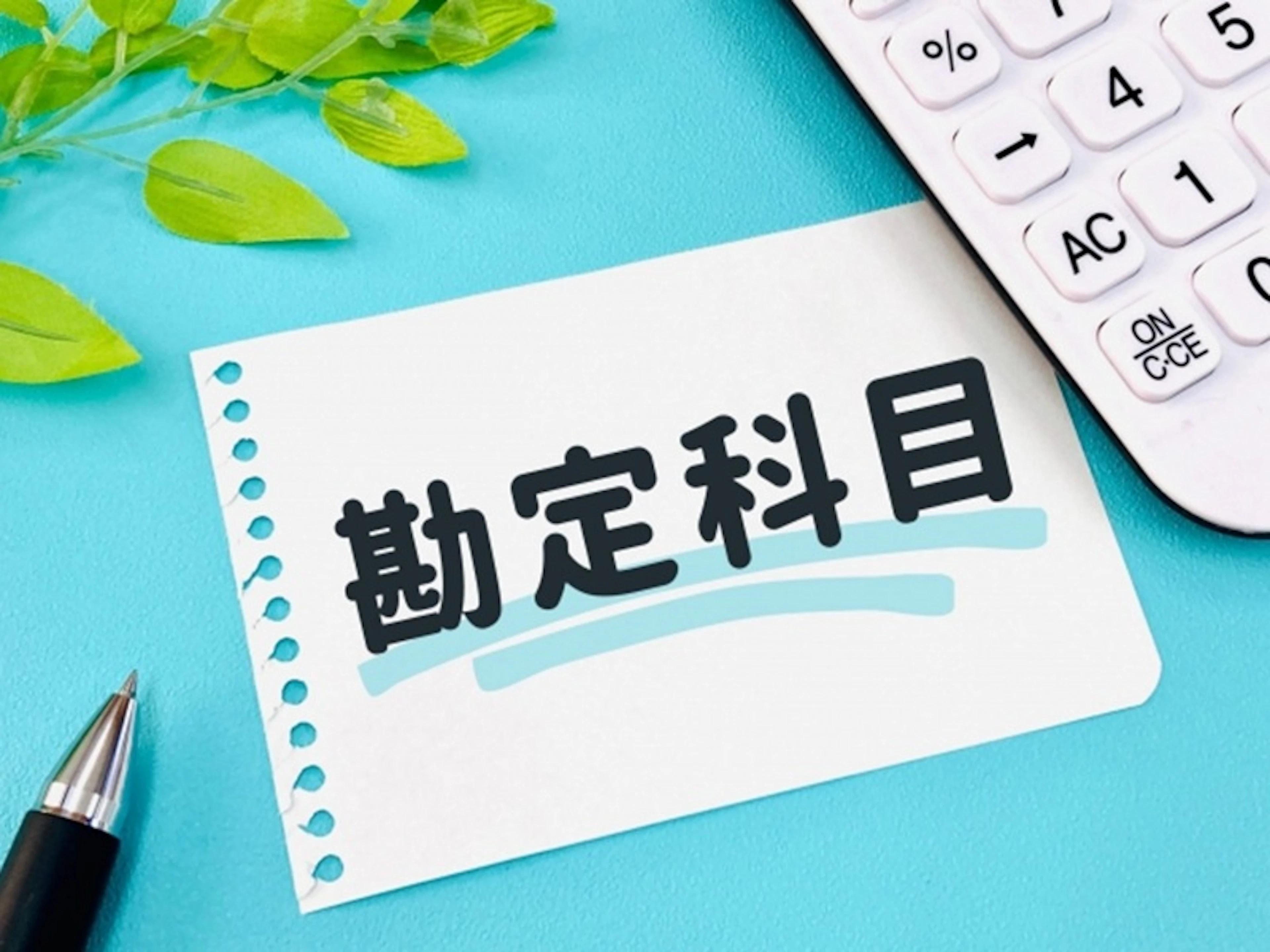 農業所得用 青色申告決算書の勘定科目は?どの科目を使うべき?