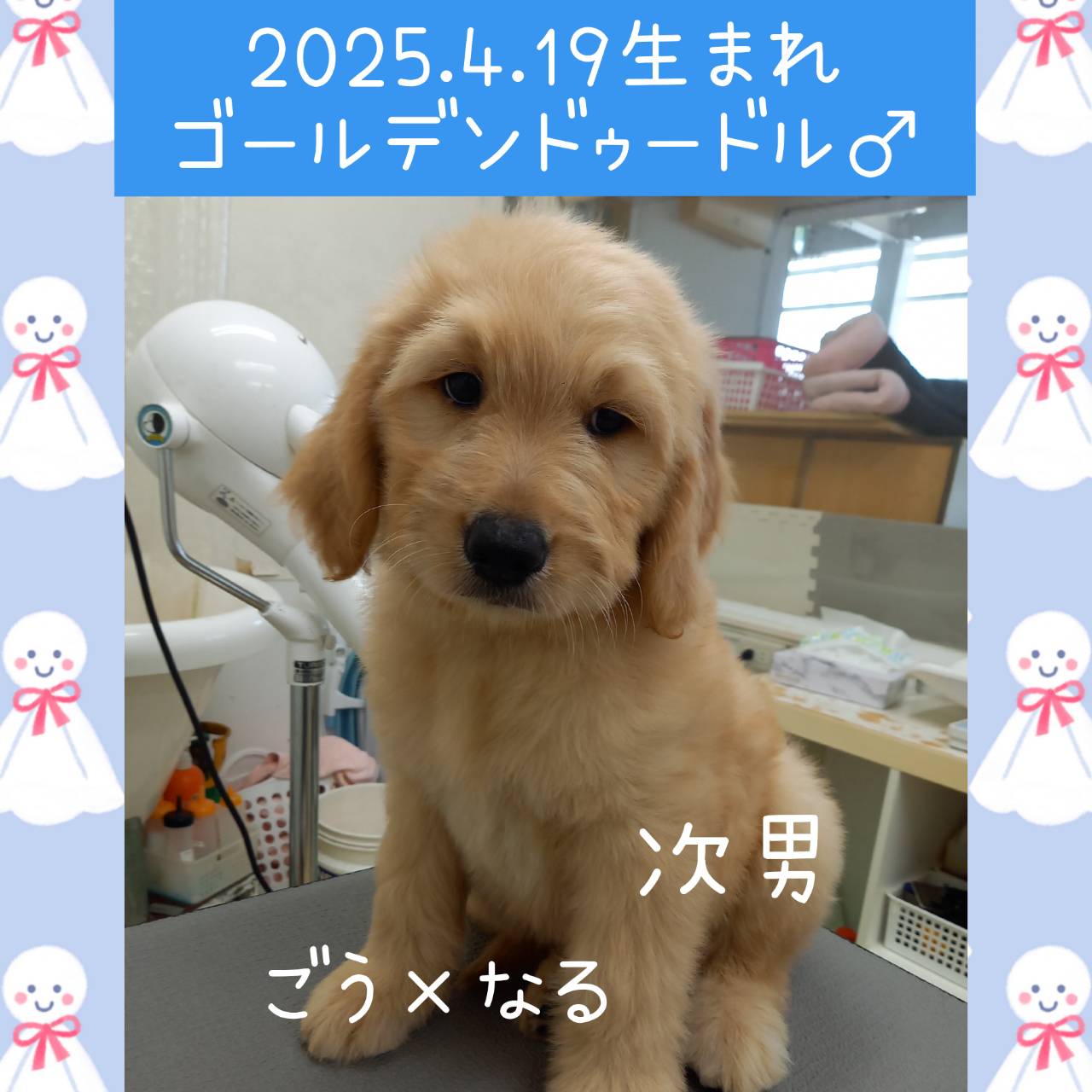 ごう×なるの子　次男くん♂