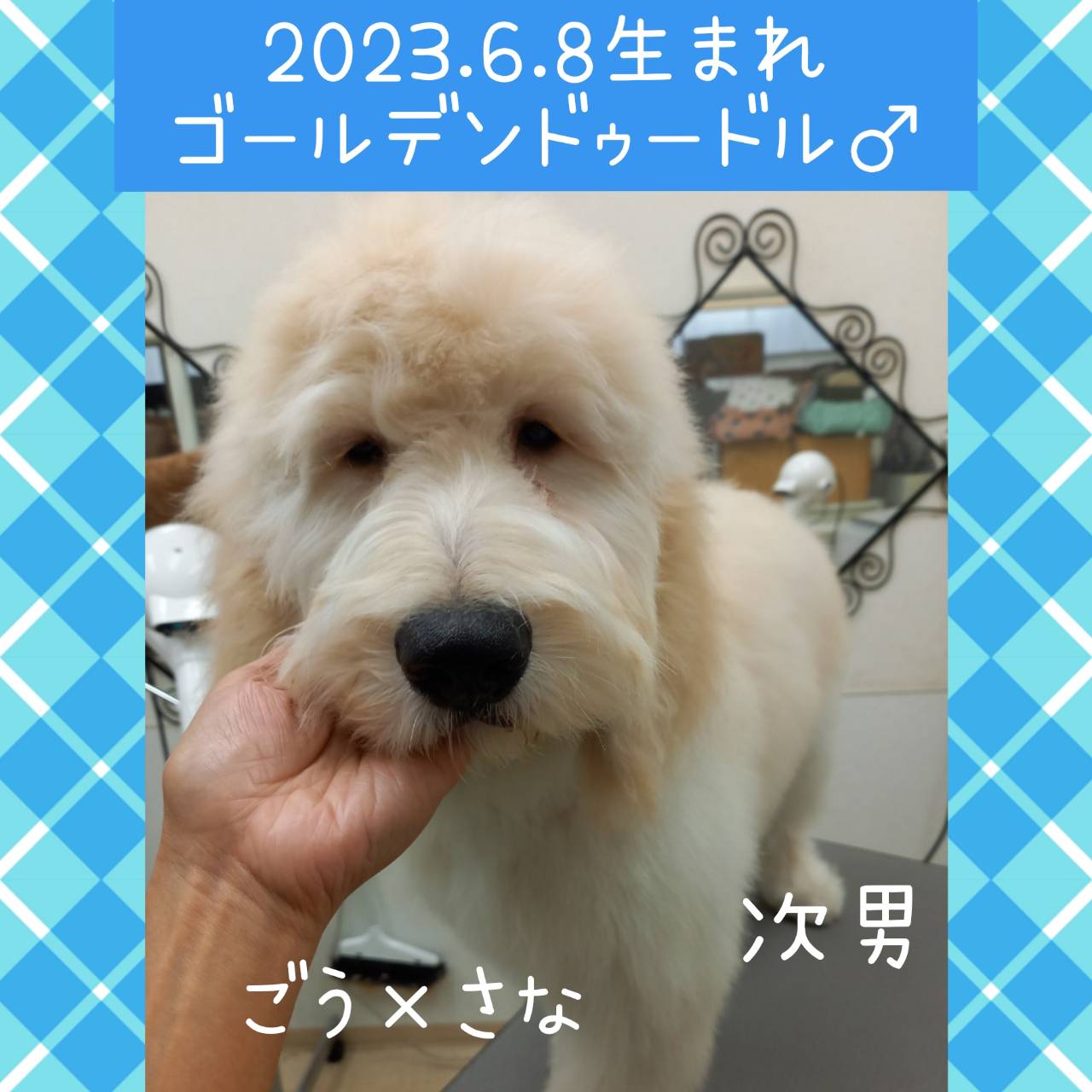 ごう×さなの子　次男くん♂